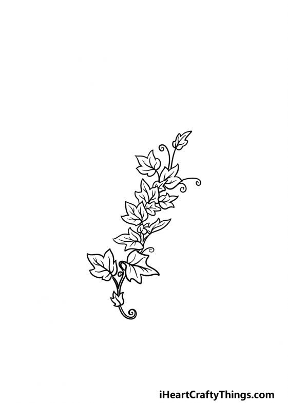 Vines Drawing - How To Draw Vines Step By Step
