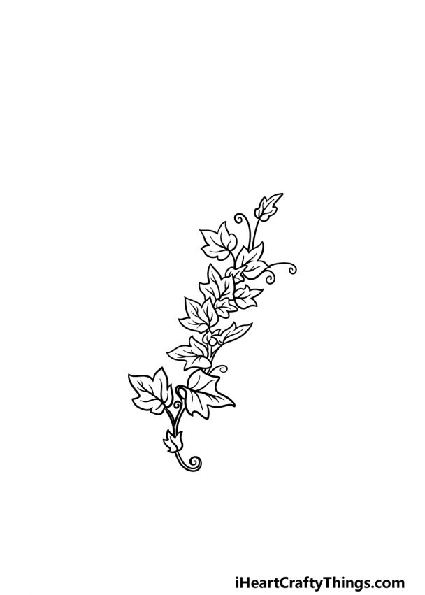  Vines Drawing - How To Draw Vines Step By Step