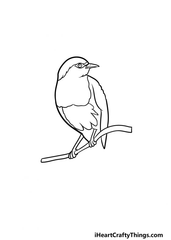 Robin Drawing - How To Draw A Robin Step By Step