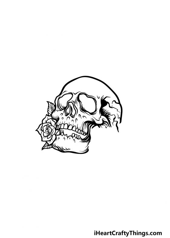 Rose Skull Drawing How To Draw A Rose Skull Step By Step