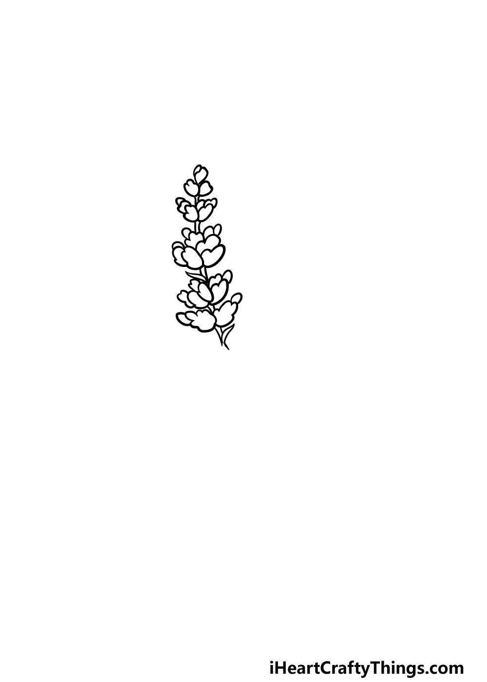 4 41 - Hướng dẫn kiểu vẽ hoa oải hương thơm rất đẹp giản dị với 6 bước cơ bản