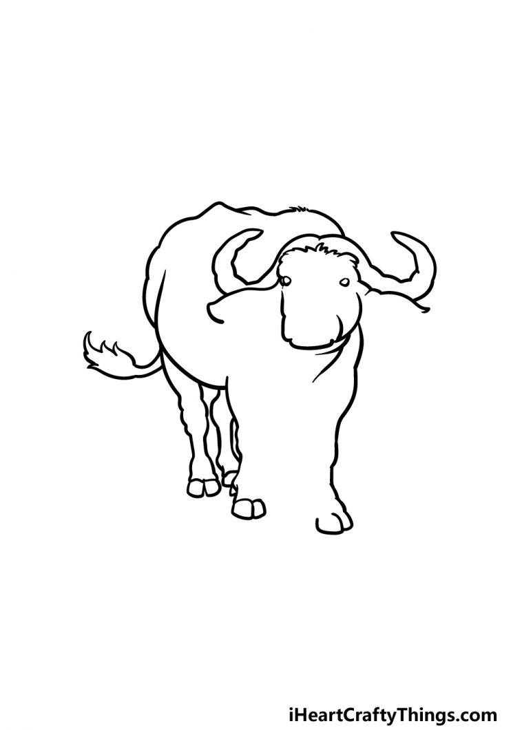 Buffalo Drawing - How To Draw A Buffalo Step By Step