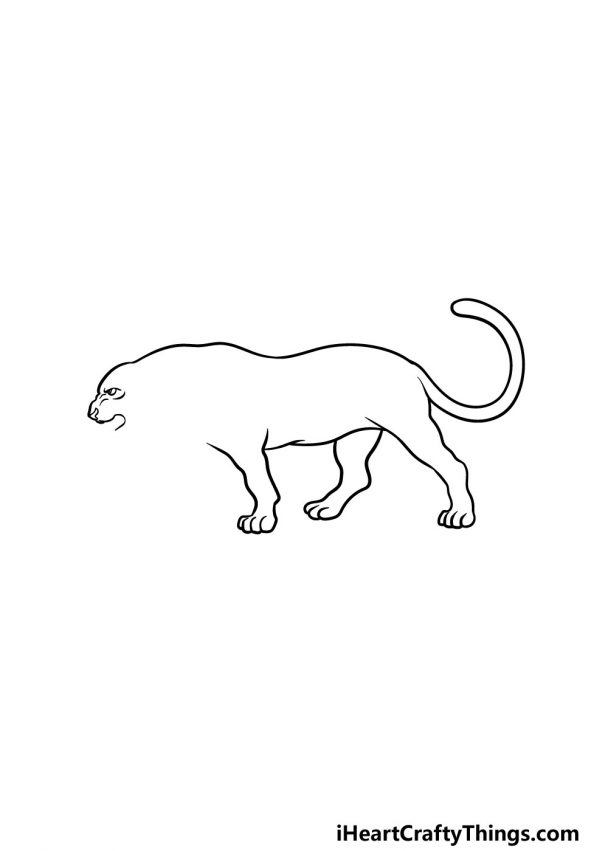 Panther Drawing - How To Draw A Panther Step By Step