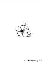 Hawaiian Flower Drawing - How To Draw A Hawaiian Flower Step By Step