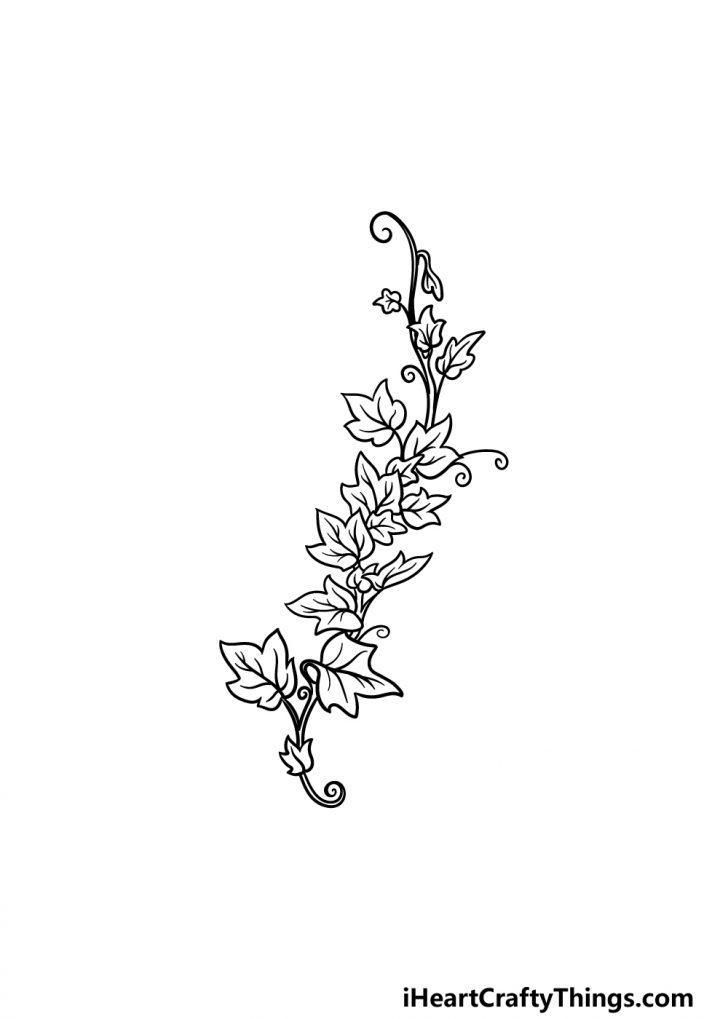 Vines Drawing - How To Draw Vines Step By Step