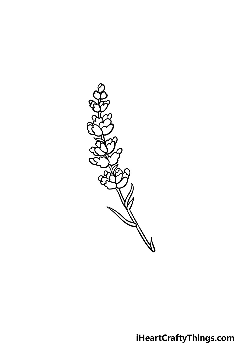 drawing lavender step 5