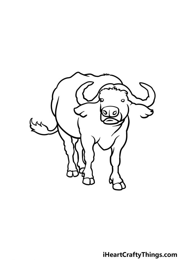 Buffalo Drawing - How To Draw A Buffalo Step By Step