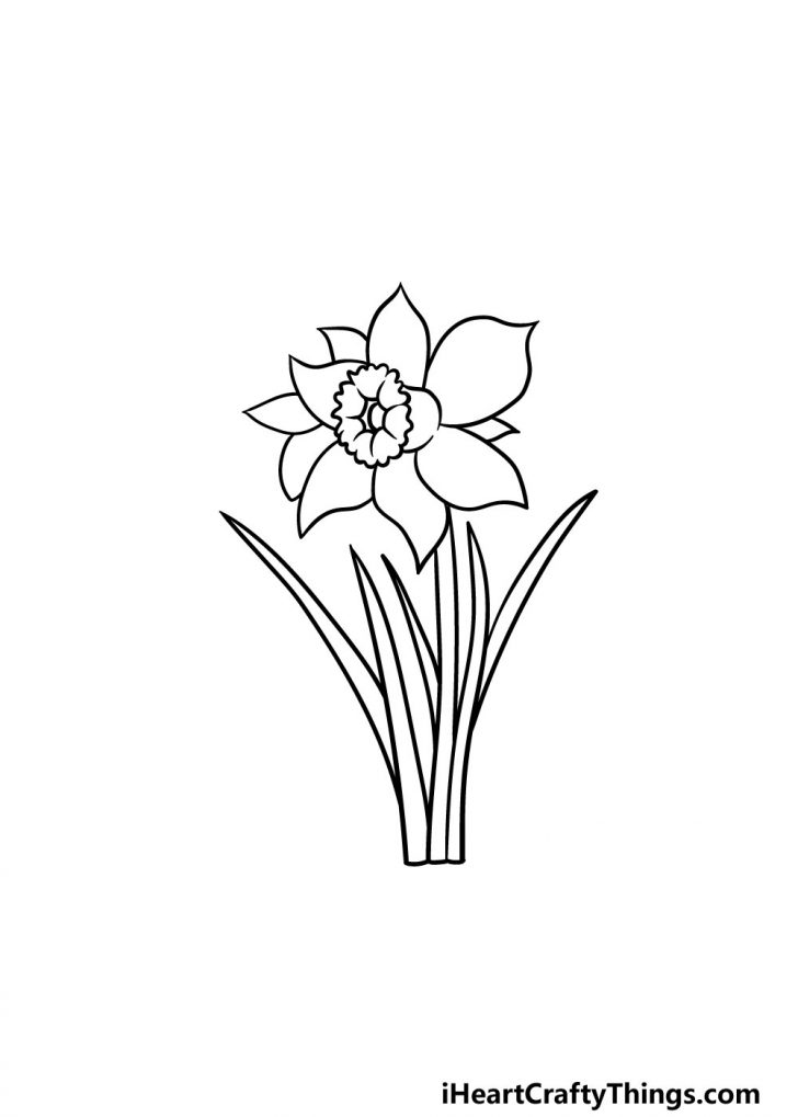 Daffodil Drawing - How To Draw A Daffodil Step By Step