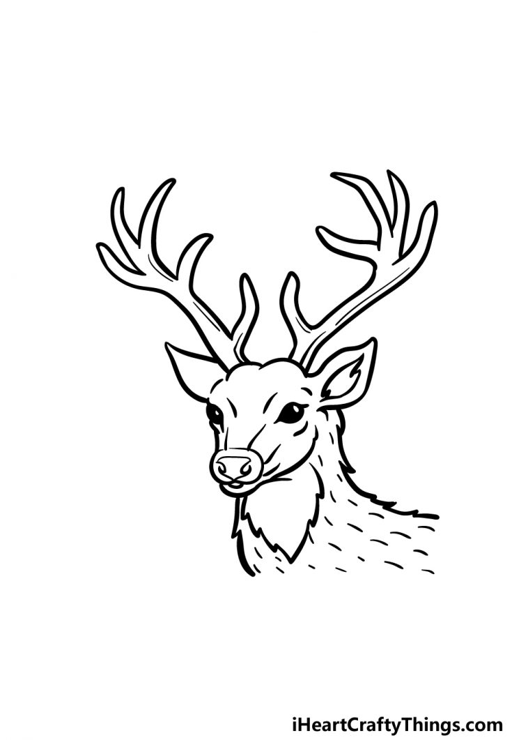 Deer Head Drawing - How To Draw A Deer Head Step By Step