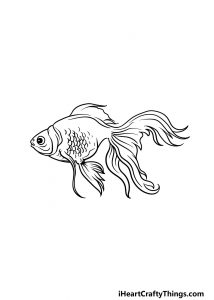 Goldfish Drawing - How To Draw A Goldfish Step By Step