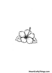 Hawaiian Flower Drawing - How To Draw A Hawaiian Flower Step By Step