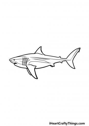 Megalodon Drawing - How To Draw A Megalodon Step By Step