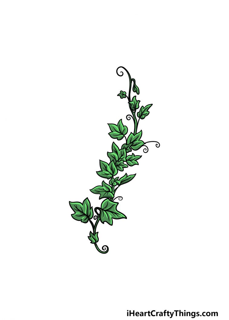 Vines Drawing - How To Draw Vines Step By Step