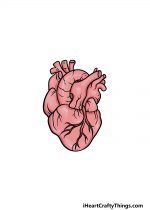 Human Heart Drawing - How To Draw A Human Heart Step By Step