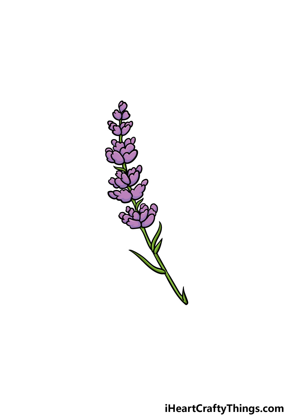 6 41 - Hướng dẫn kiểu vẽ hoa oải hương thơm rất đẹp giản dị với 6 bước cơ bản