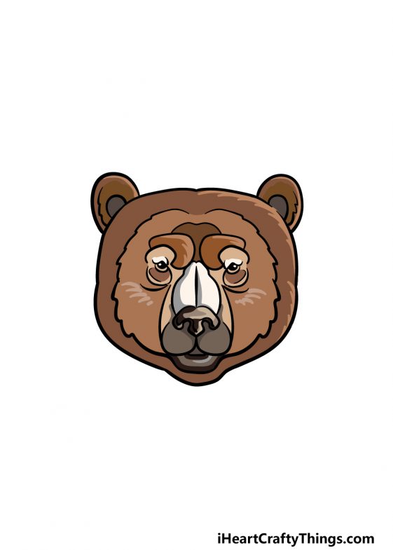 Bear Face Drawing - How To Draw A Bear Face Step By Step