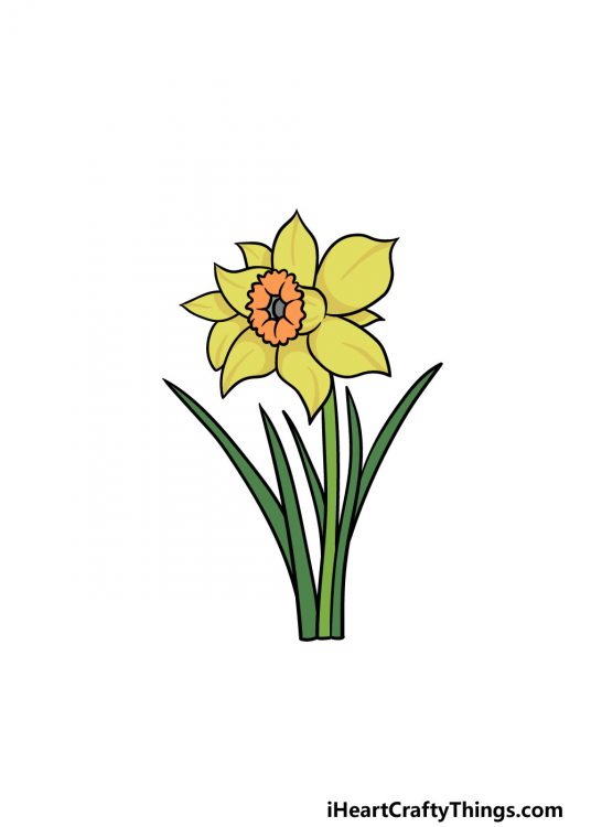 Daffodil Drawing - How To Draw A Daffodil Step By Step