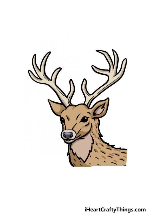 Deer Head Drawing How To Draw A Deer Head Step By Step