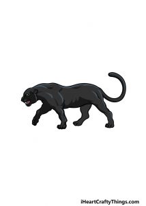 Panther Drawing - How To Draw A Panther Step By Step