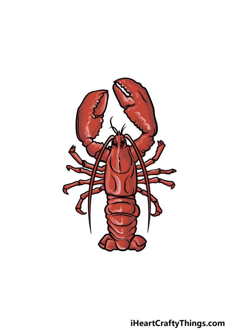 Lobster Drawing How To Draw A Lobster Step By Step