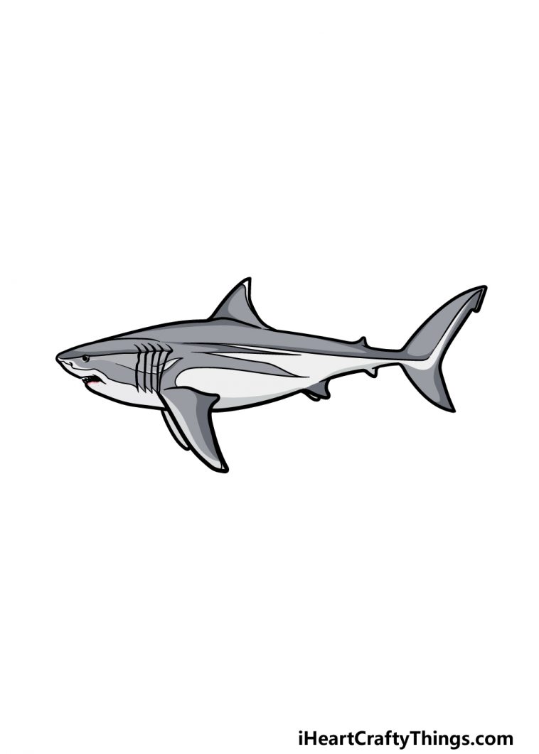 Megalodon Drawing - How To Draw A Megalodon Step By Step