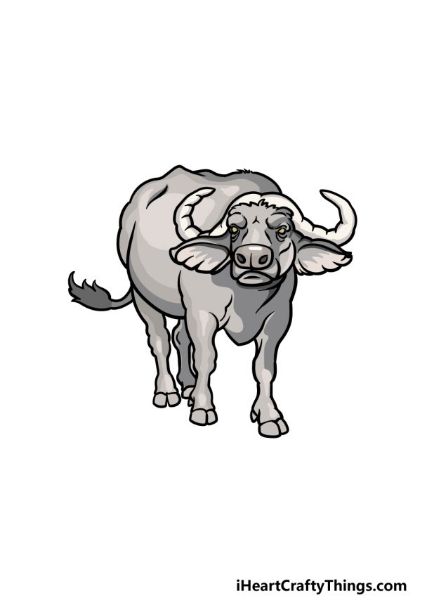 Buffalo Drawing - How To Draw A Buffalo Step By Step