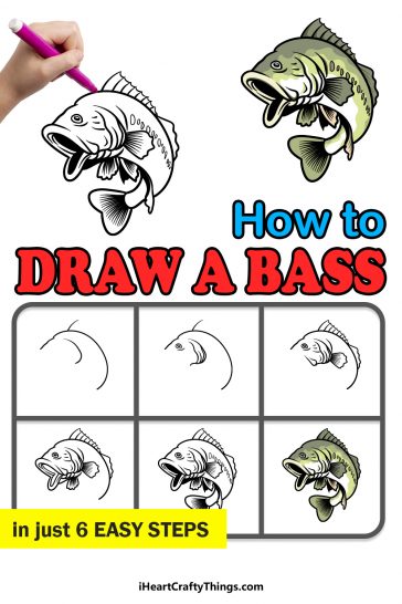 Bass Drawing - How To Draw A Bass Step By Step