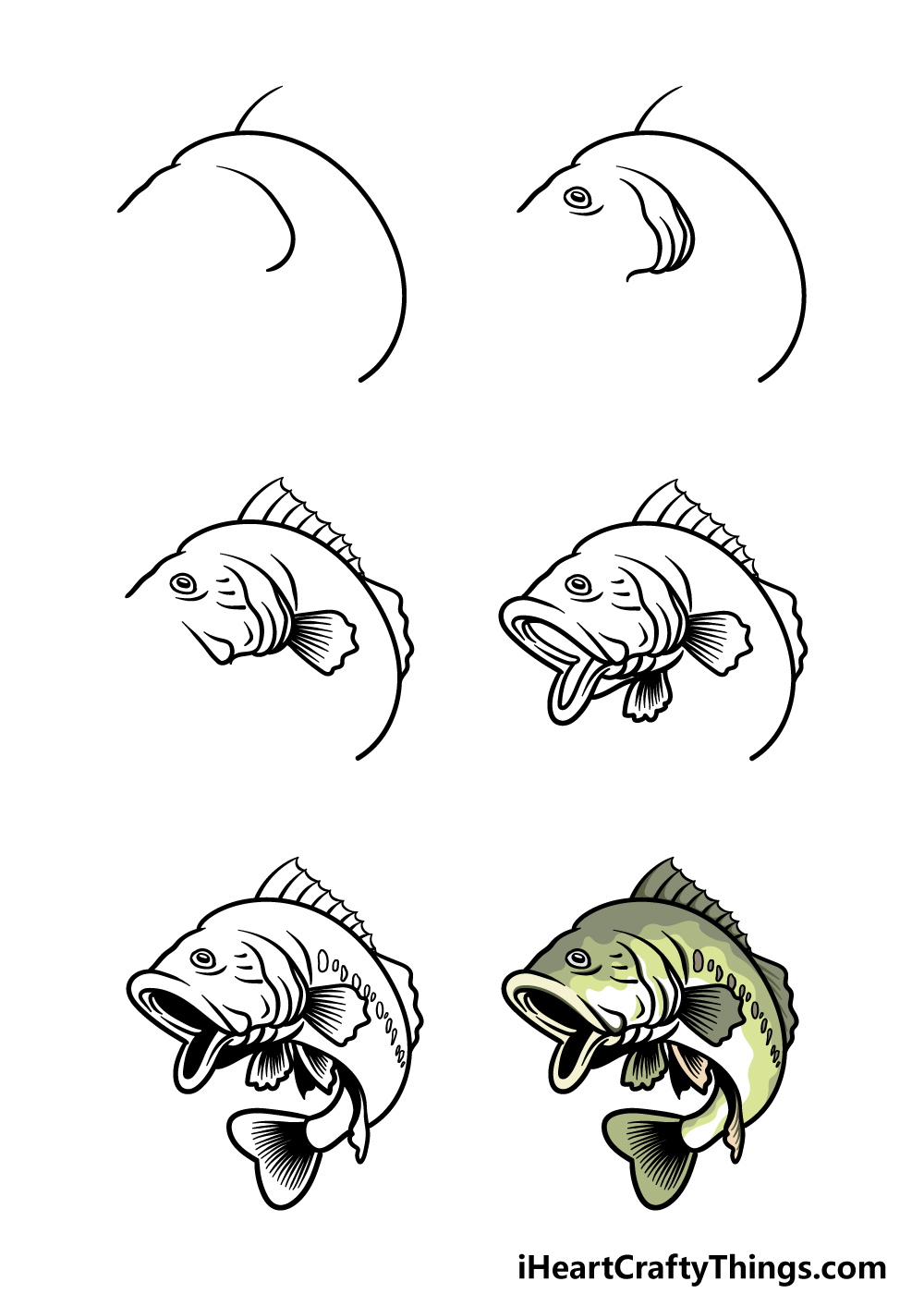 How To Draw A Bass Really Easy Drawing Tutorial | vlr.eng.br