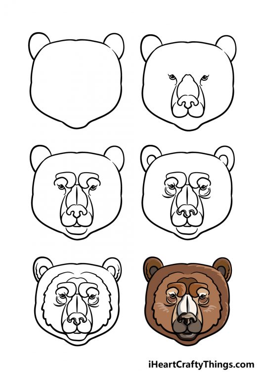 Bear Face Drawing How To Draw A Bear Face Step By Step