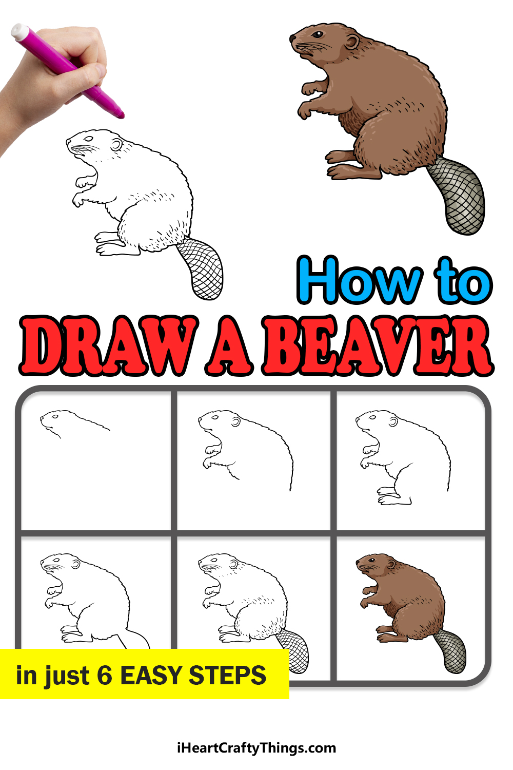 how to draw a beaver in 6 easy steps