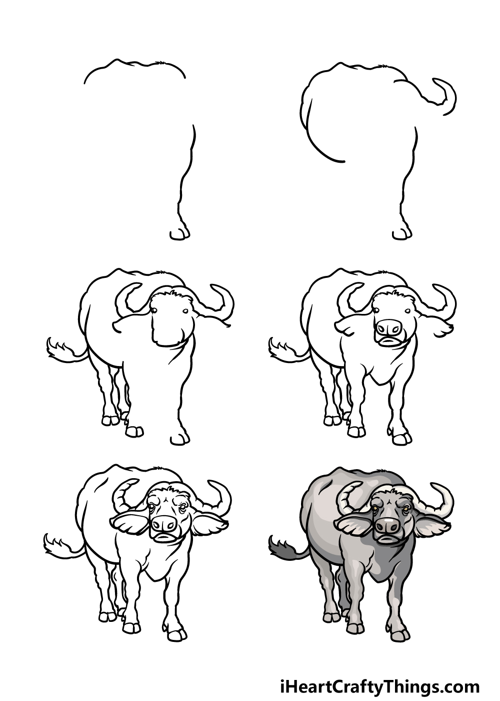 Buffalo Drawing - How To Draw A Buffalo Step By Step