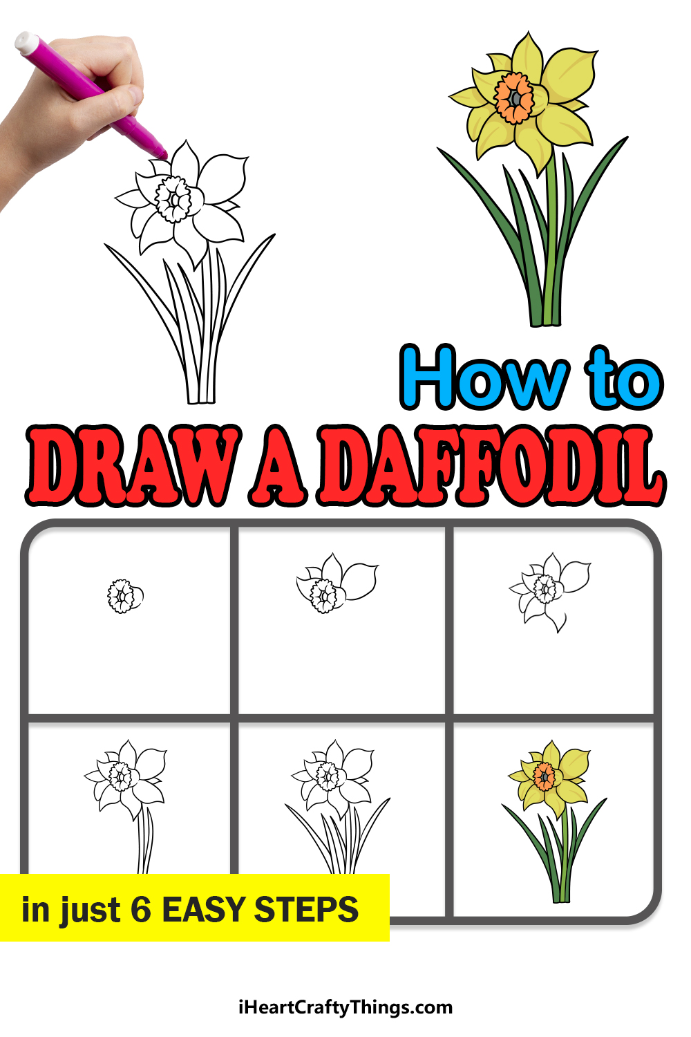 how to draw a daffodil in 6 easy steps