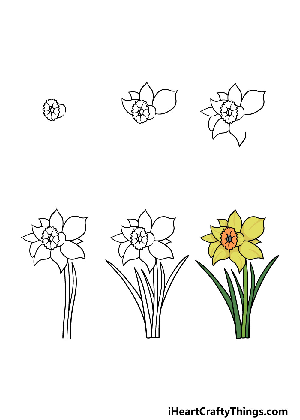 how to draw a daffodil in 6 steps