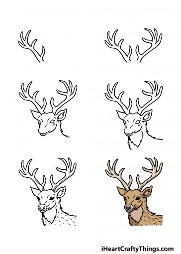 Deer Head Drawing - How To Draw A Deer Head Step By Step