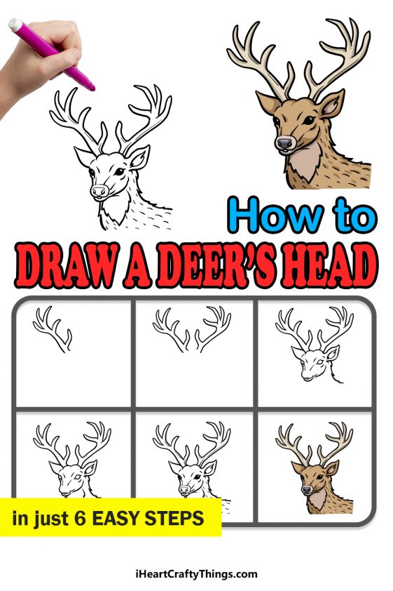 Deer Head Drawing - How To Draw A Deer Head Step By Step