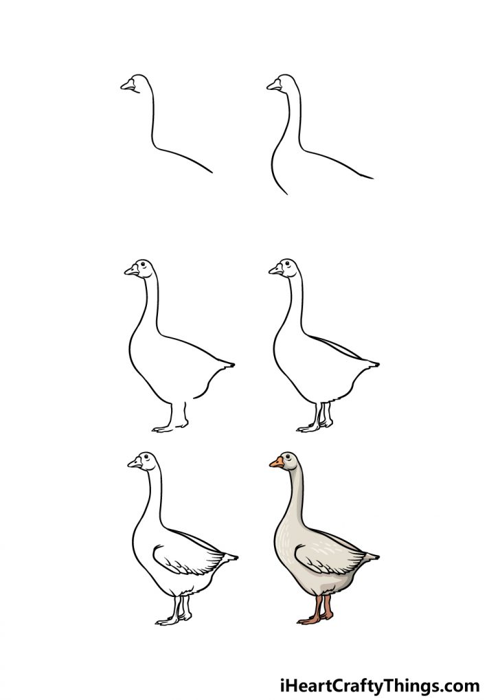 Goose Drawing - How To Draw A Goose Step By Step