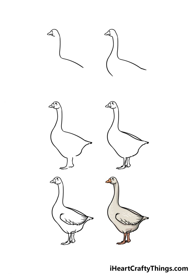 Goose Drawing How To Draw A Goose Step By Step