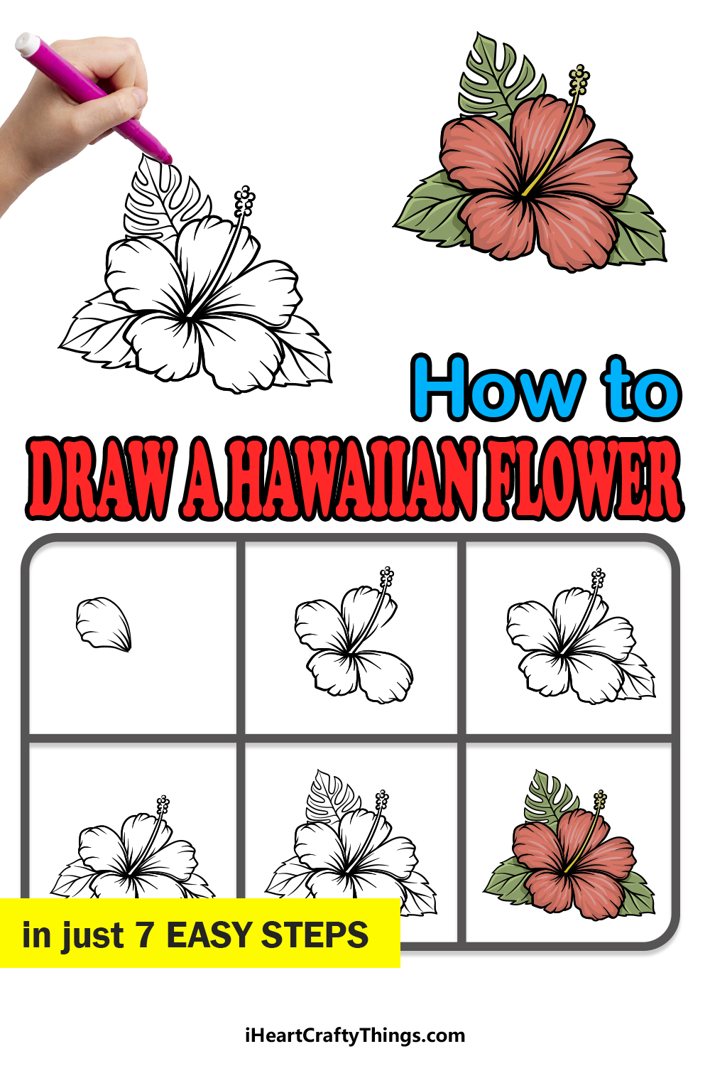 how to draw Hawaiian Flower in 7 easy steps