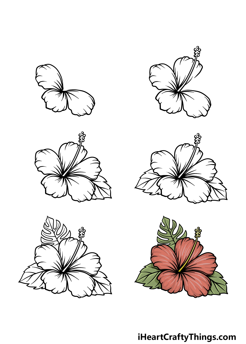 Hawaii Drawing Hibiscus Flower Cartoon Hibiscus white pencil leaf png   PNGWing