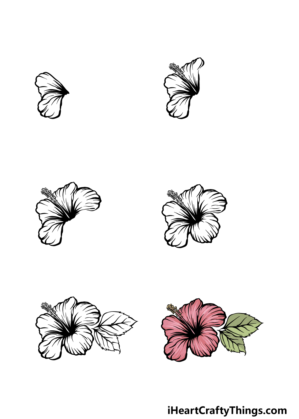 how to draw hibiscus in 6 steps