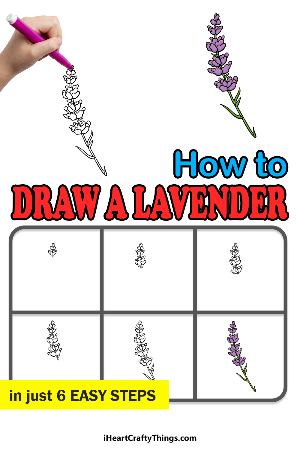 how to draw lavender in 6 easy steps
