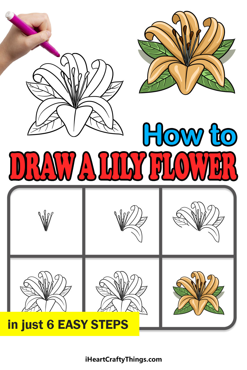 lily. Flowers. Drawings. Pictures. Drawings ideas for kids. Easy and simple.