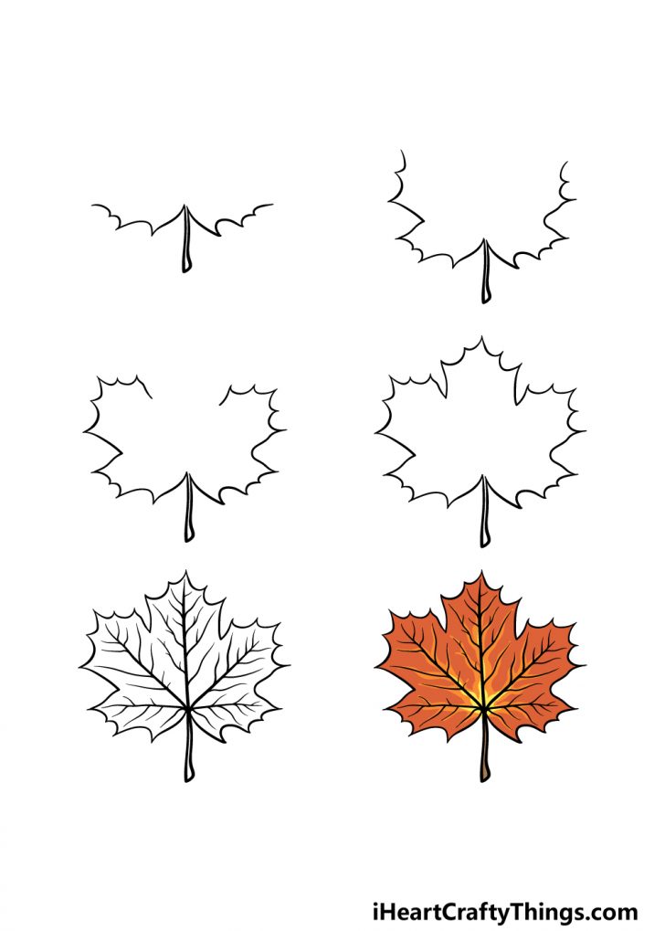 Maple Leaf Drawing - How To Draw A Maple Leaf Step By Step