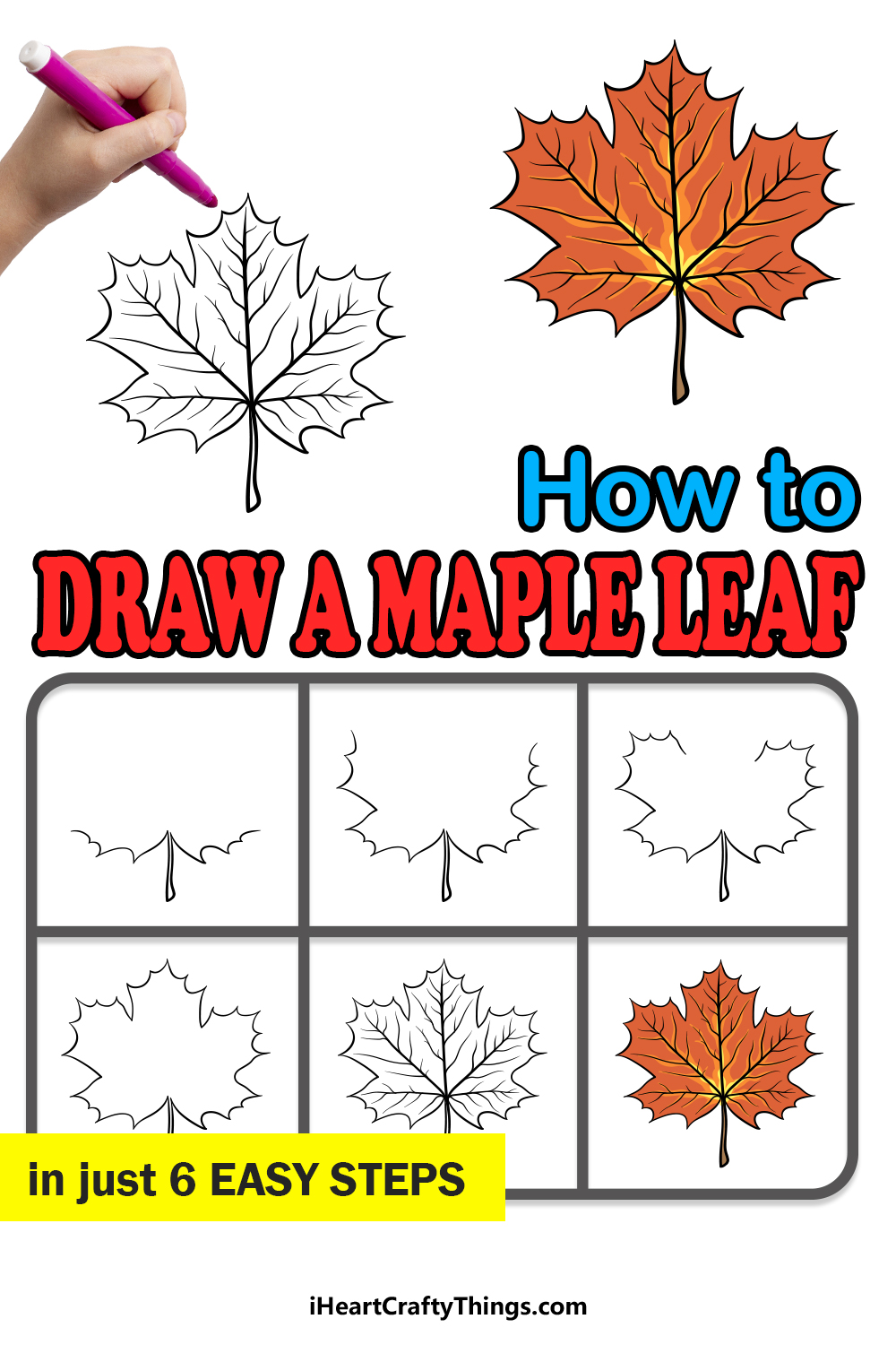 how to draw a maple leaf in 6 easy steps