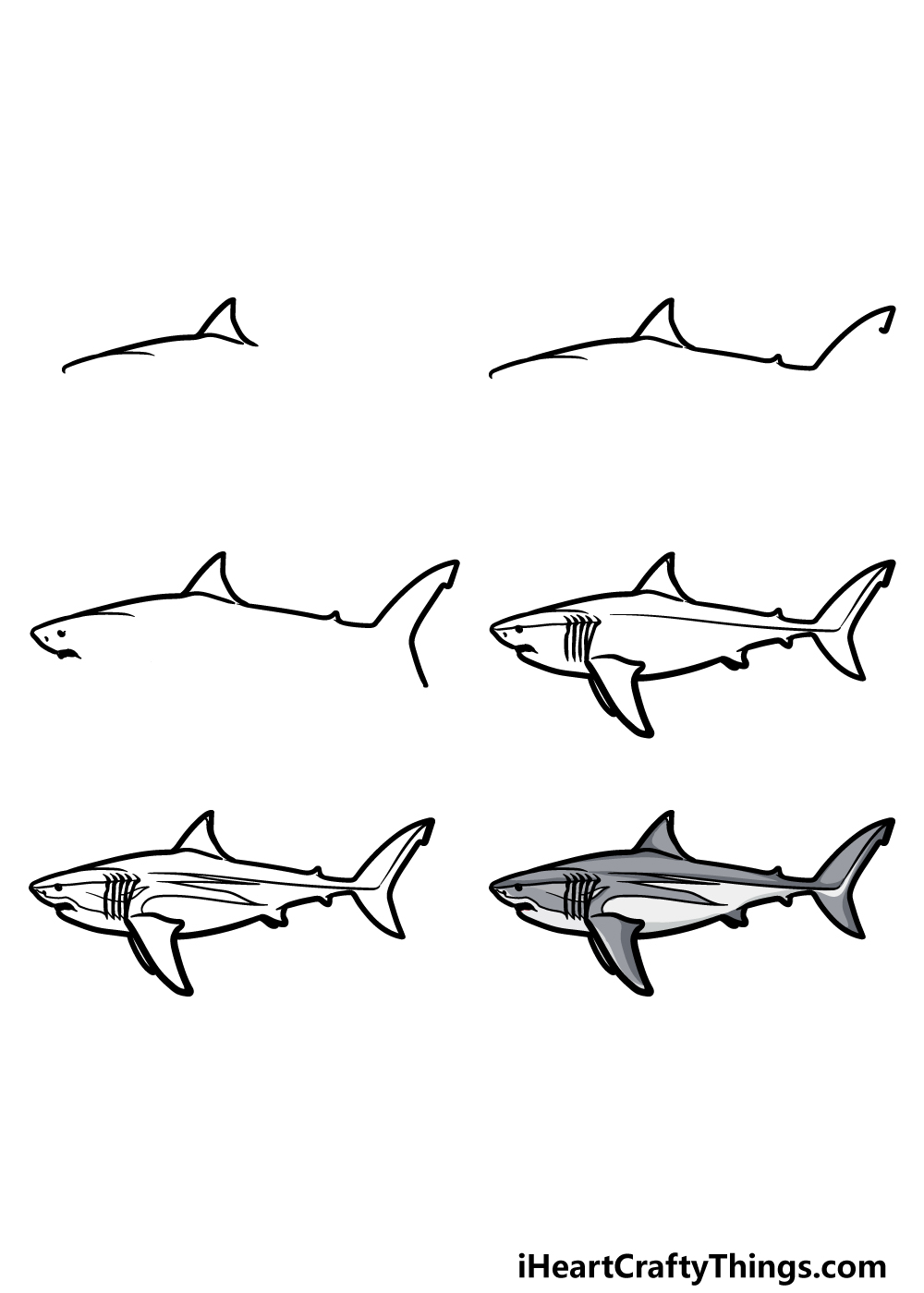 Megalodon Drawing How To Draw A Megalodon Step By Step