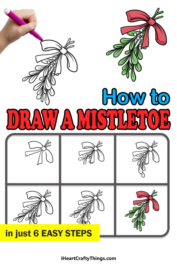 Mistletoe Drawing How To Draw A Mistletoe Step By Step