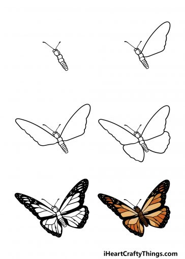 Monarch Butterfly Drawing - How To Draw A Monarch Butterfly Step By Step