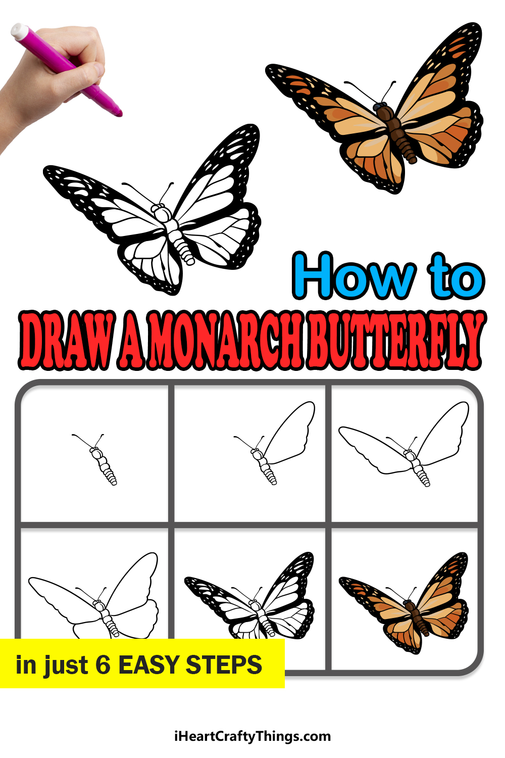 how to draw a Monarch Butterfly in 6 easy steps