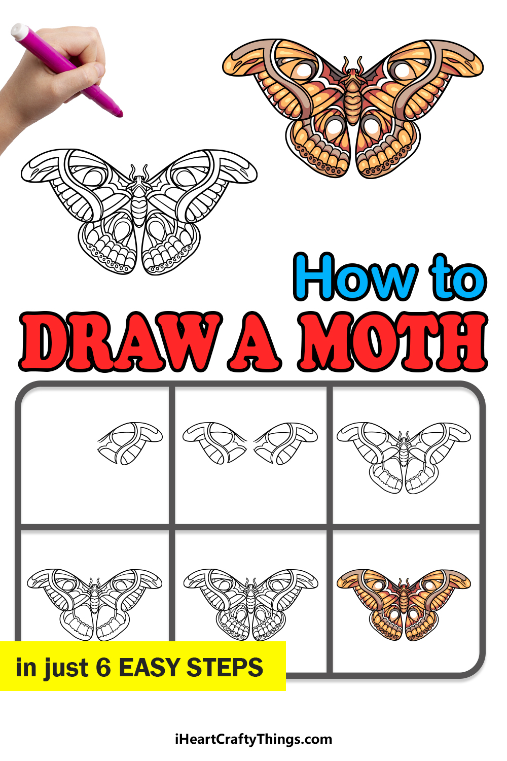 how to draw a moth in 6 easy steps