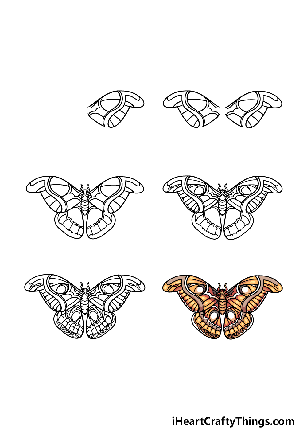 how to draw a moth in 6 steps